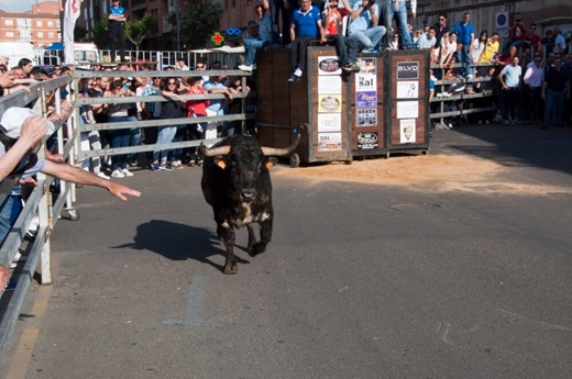 Imagen de archivo del Toro de la Feria de Medina del Campo Imagen de archivo del Toro de la Feria de Medina del Campo